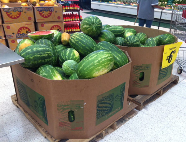 custom print watermelon bins custom print watermelon bins