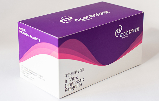 Cardstock Packaging Box for IVD