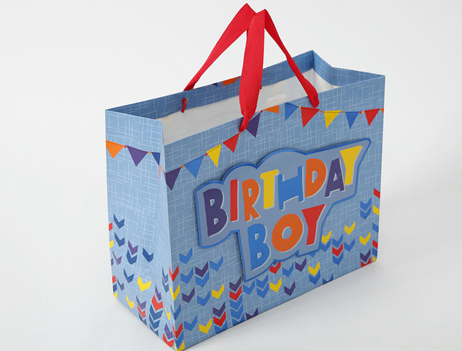 Luxury Design Gift Bags with Ribbon Handle